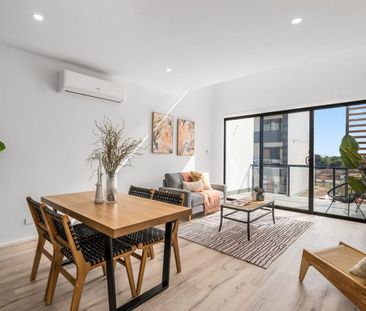 Stylish Terrace Home in the Heart of Tonsley Innovation Precinct - Photo 1