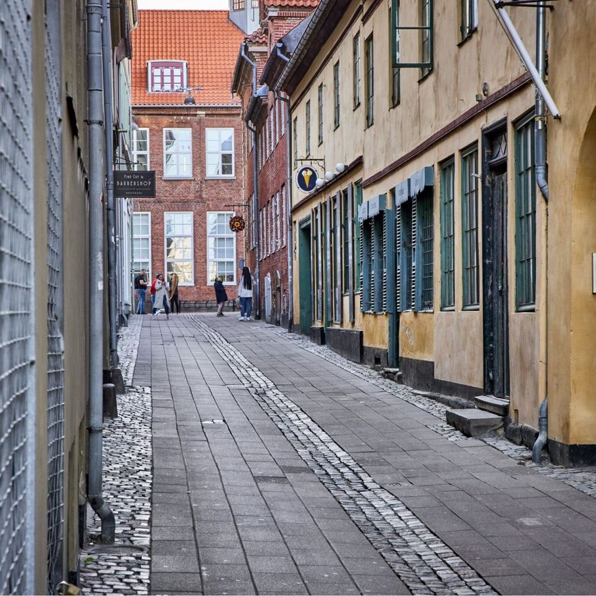 Moderne bofællesskab - for voksne uden hjemmeboende børn. - Photo 1