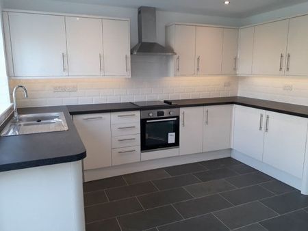 LIFTONDOWN, Lifton, PL16 - Photo 3