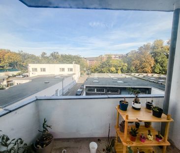 Helle 2Zi-Whg mit Balkon in ruhiger Lage! - Photo 6