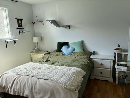 Appartement 3 1/2 près de l'UdS - Photo 4