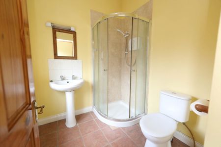 Abbeyleix - Photo 4