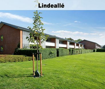 Linde Haven m.fl. 164-0 - Foto 2