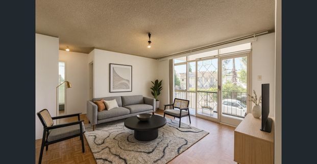 Bright Retreat in one of Marrickville's Most Convenient Pockets - Photo 1