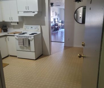 For Lease - 86 Curtis Street Unit# 3, Essa, Ontario - Photo 4