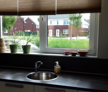 Meander 26 - Photo 4