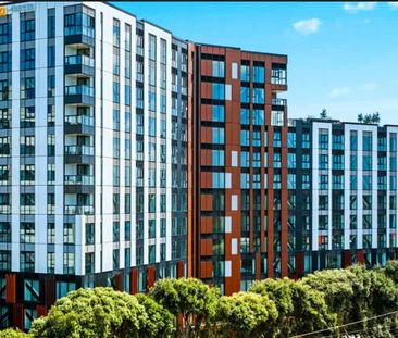 Super Large One bedroom - Photo 3