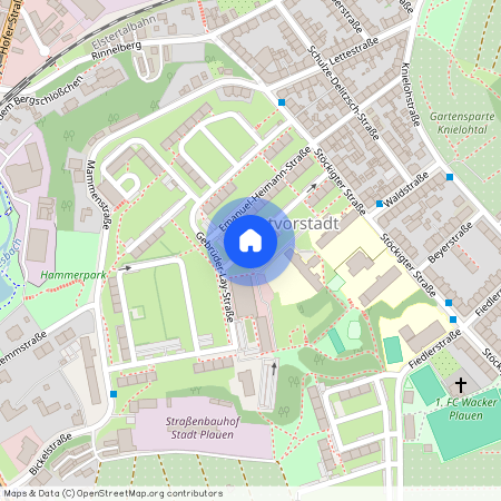 Clara-Wieck-Straße 8, 08527 Plauen