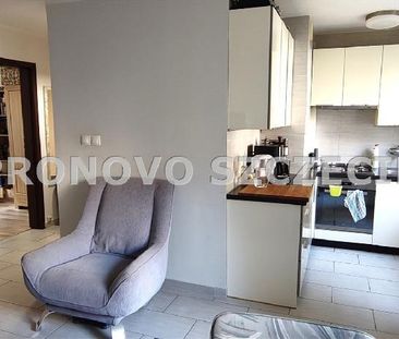 Mieszkanie Szczecin Dąbie powierzchnia 57.6 m² C319-WM-41923 - Photo 3