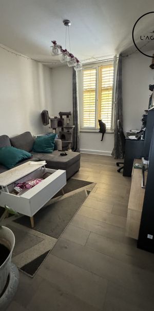 Location Appartement 3 pièces 80m² LUNEVILLE 54300 - Photo 1