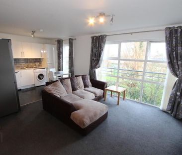 Apartment 2 3 Lewis Mews, Belfast, BT4 1FY - Photo 5