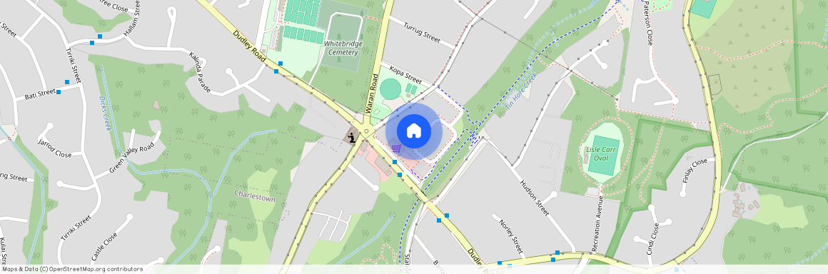 25 Fettlers Loop, Whitebridge, NSW 2290