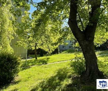 Bielsko-Biała, - Photo 5