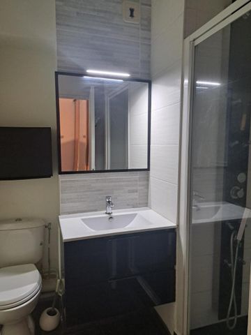 Location Appartement 1 pièce 39m² TALENCE 33400 - Photo 3
