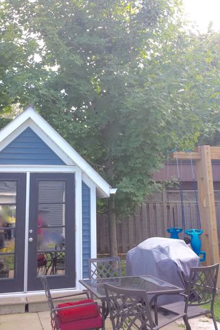 For Lease - 126 Reach Street Unit# Unit 1, Uxbridge, Ontario - Photo 4