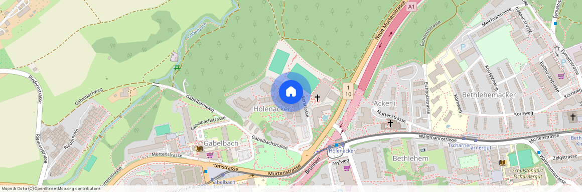 3027, Bern, Holenackerstrasse, 33