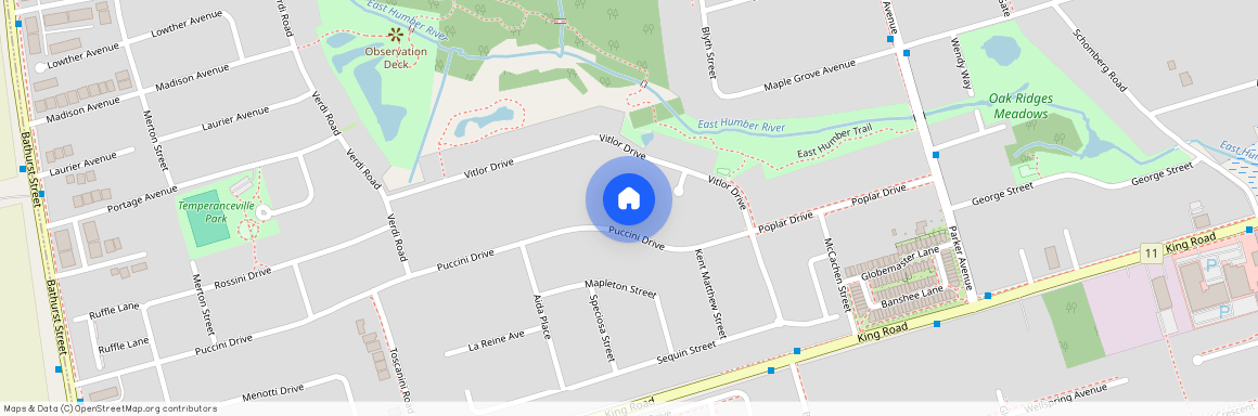 36A Puccini Drive Unit# Basement, Richmond Hill