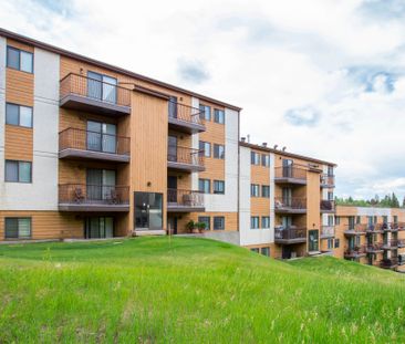 Inglewood Terrace Apartments - Photo 2