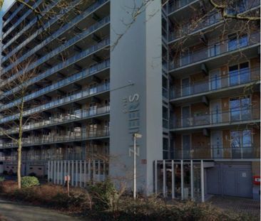 3-Room Apartment at Bernard Zweersstraat, Purmerend - For Rent - Photo 3