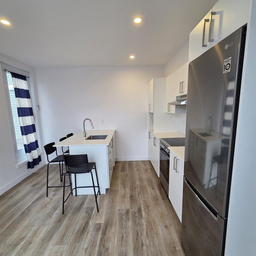 2 Bedroom - 980 Rue Notre-Dame, Montréal - Photo 1
