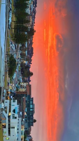 North Bondi - Photo 5