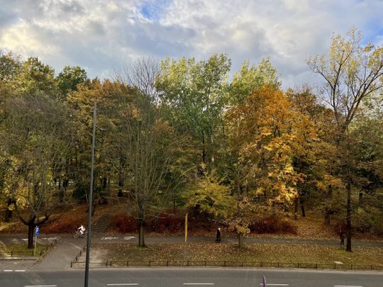 POWIŚLE wysoki standard, przy parku - Photo 1