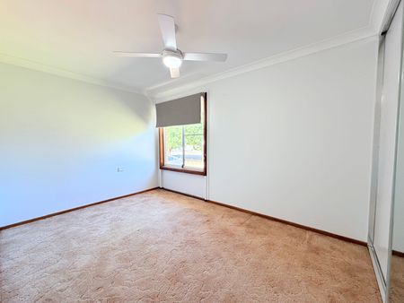 Ray White Real Estate Parkes - Photo 4
