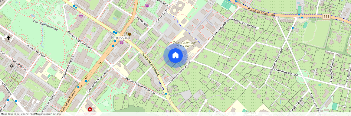 Chemin du Velours 20, 1208 - Genève, Suisse