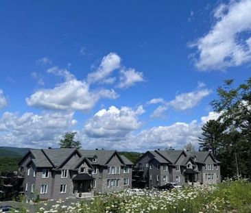 Appartement à louer - Piedmont - Photo 1