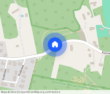 Jedyny w swoim rodzaju dom w otulinie lasu - Zdjęcie 1