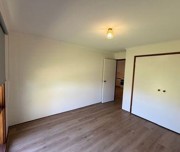 FRESHLY UPDATED FAMILY HOME IN A SPACIOUS SETTING! - Photo 3