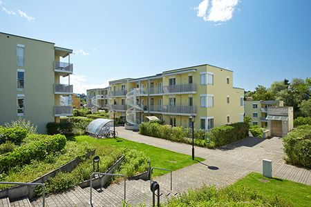 "Grün, freundlich, modern" - Photo 3