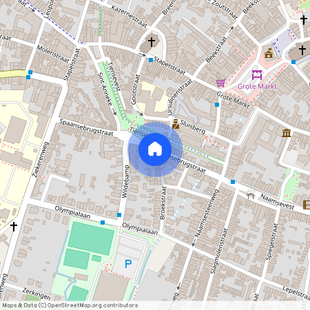 Spaansebrugstraat 42 bus 1, 3800, Sint-Truiden