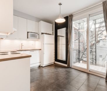 Appartement à louer - Montréal (Le Plateau-Mont-Royal) (Le Plateau-... - Photo 3