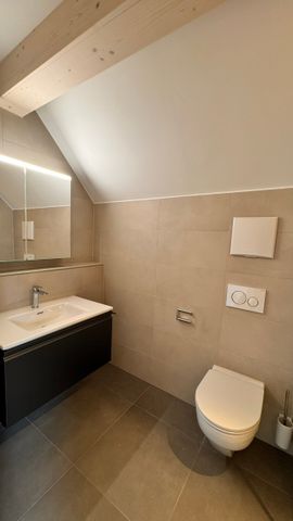 Neubau-Wohnung mit Balkon in Zullwil - Photo 4