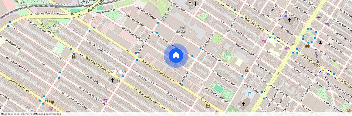 5387 Rue St Dominique, Montréal (Le Plateau-Mont-Royal), QC H2T