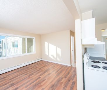 Alexander Apartments - Photo 6