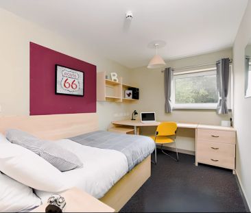 Ensuite bronze - Photo 6