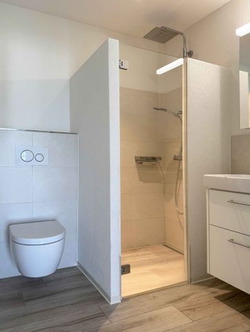 TIERSTEINBLICK - Exklusive 4.5-Zimmer-Wohnung in Gipf-Oberfrick - Hier werden Wohnträume wahr! - Foto 4