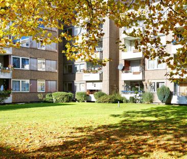 2-Zimmer-Wohnung in Dortmund mieten - Photo 2