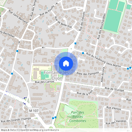 FONTAINE LES DIJON (21121)