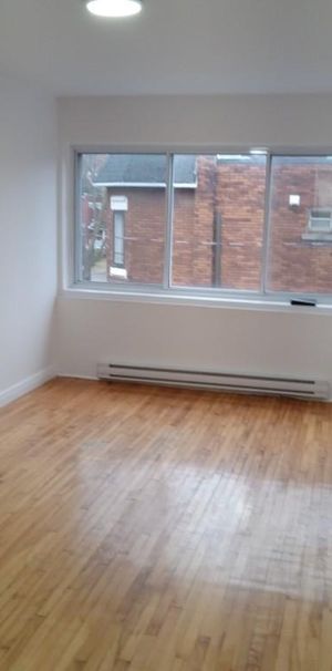 NDG Studio Apt - Photo 1