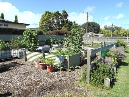 22 Whittaker Street, Shannon, Horowhenua - Photo 4