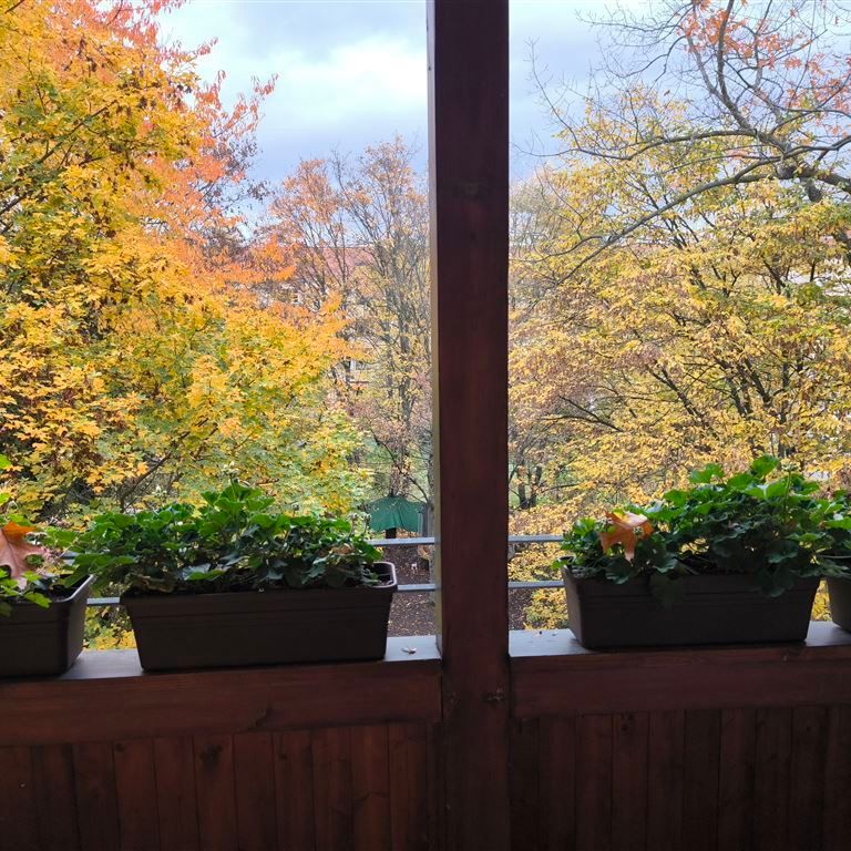 Tolle 2 R-Altbauwohnung mit viel Charme, Bad mit Wanne, gemütlicher Balkon! - Foto 1