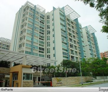 The Esparis (D18), Condominium - For Rent - Photo 3