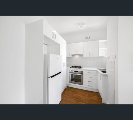3/244 Campbell Parade, Bondi Beach, NSW 2026 - Photo 4