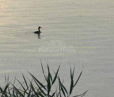 Lakeside Living, Five Bedrooms, Pool and Lake, Buftea - Photo 1