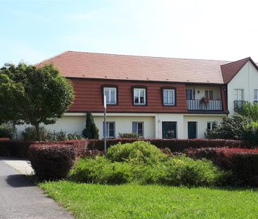 Kleine helle Wohnung in gepflegter Wohnlage - Photo 1