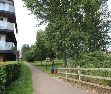 1 bedroom block of apartments to rent - Photo 6