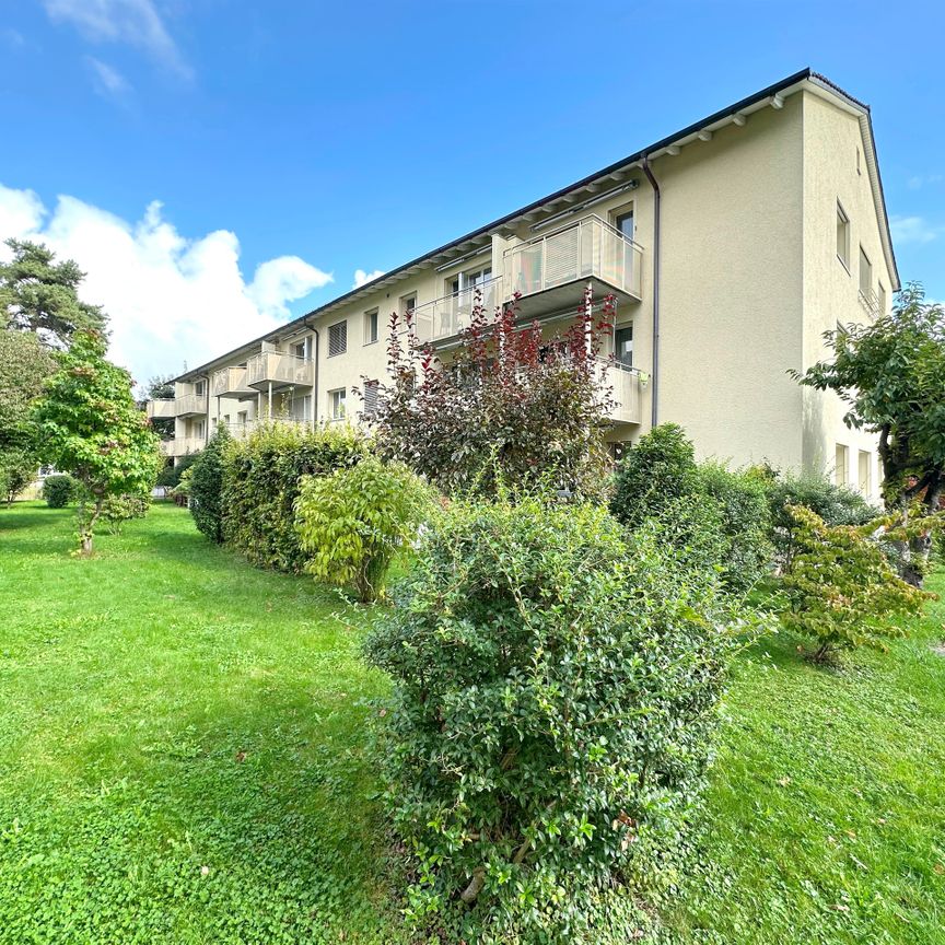 Im Herzen von Zürich-Wiedikon - Ruhig und doch zentral! - Foto 1